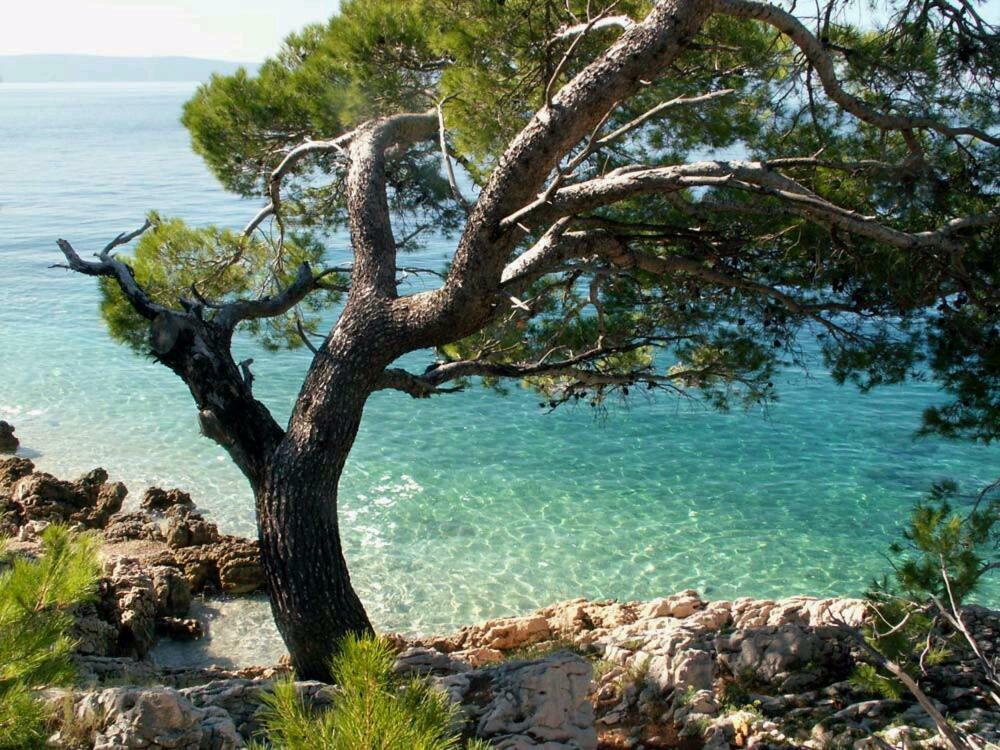 Apartmani Milka I Jozo Omis Exterior photo